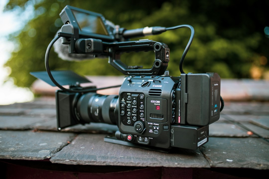 C300 참고 이미지 2
