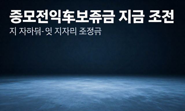 중고전기차보조금 관련 이미지 - 중고전기차보조금 지급 조건 및 지자체별 혜택 총정리